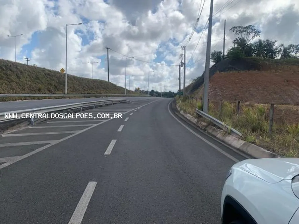 Terreno, 4 hectares - Foto 3