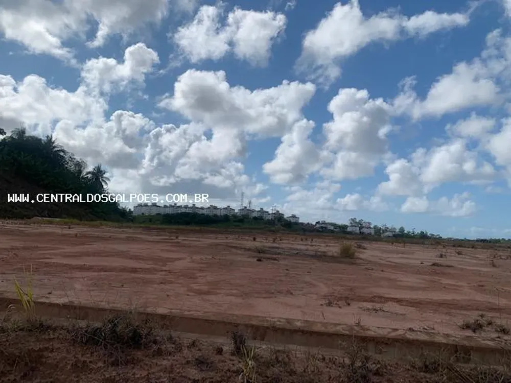 Terreno, 4 hectares - Foto 6
