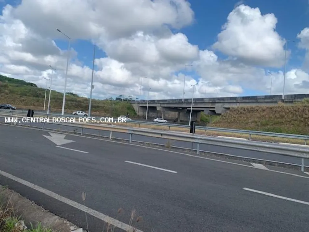 Terreno, 4 hectares - Foto 4