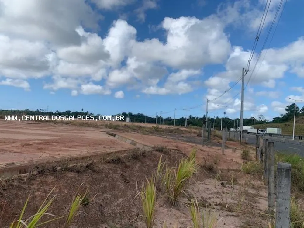 Terreno, 4 hectares - Foto 7