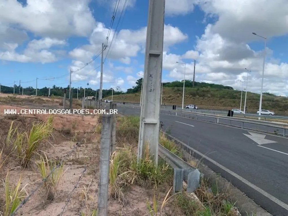 Terreno, 4 hectares - Foto 8