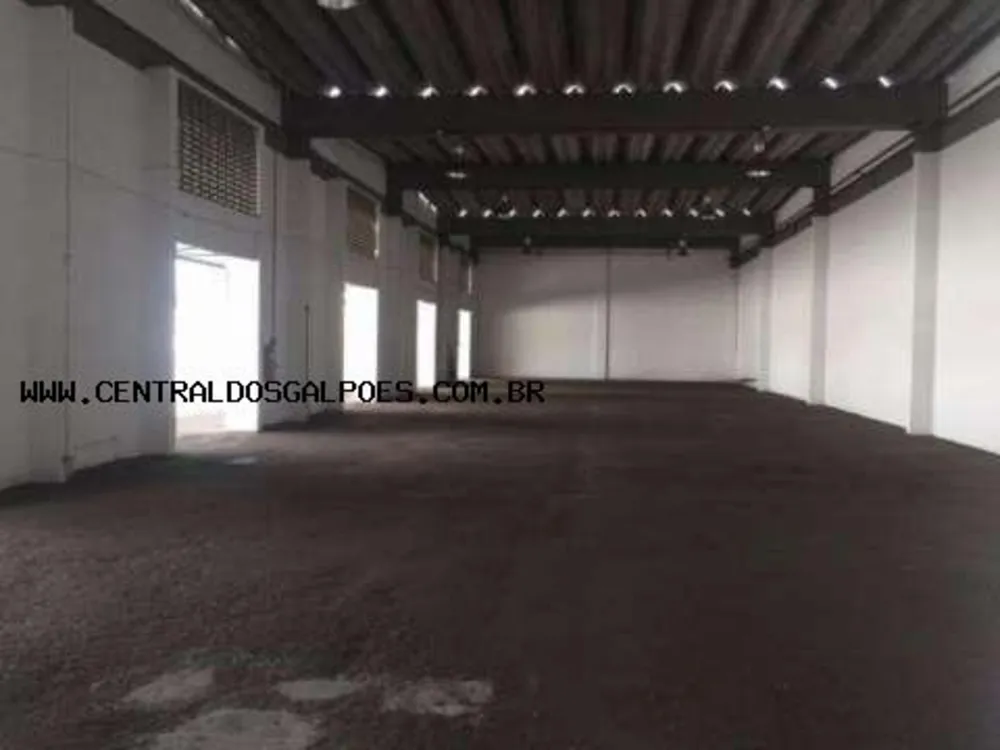 Depósito-Galpão, 1000 m² - Foto 6
