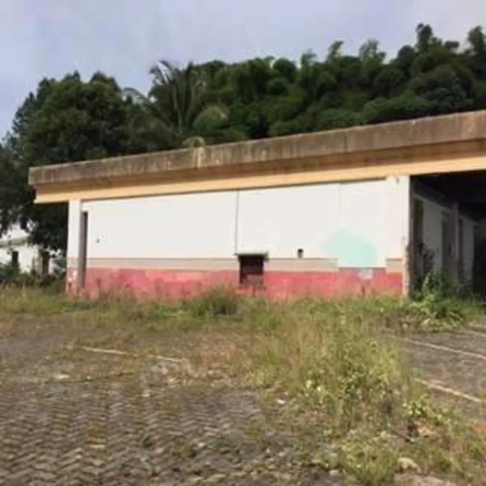 Terreno, 5000 m² - Foto 8