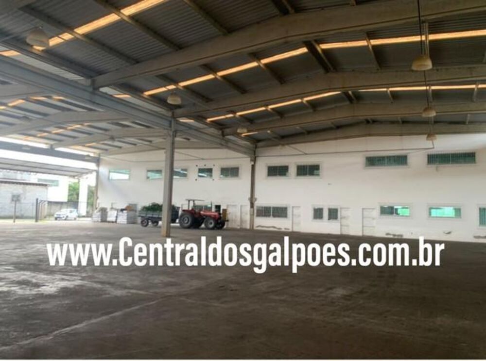 Depósito-Galpão, 4000 m² - Foto 1