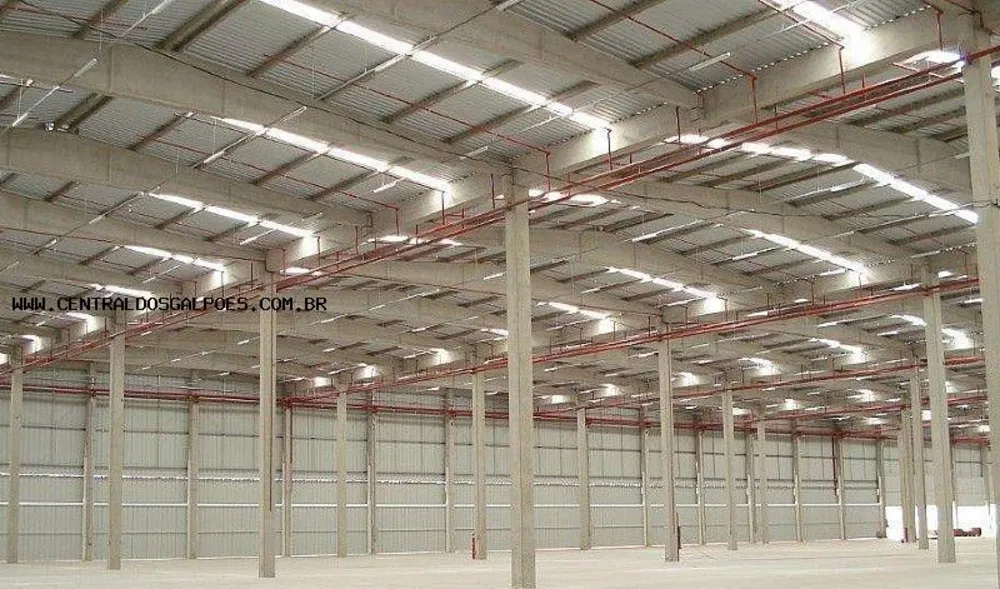 Depósito-Galpão, 5000 m² - Foto 7
