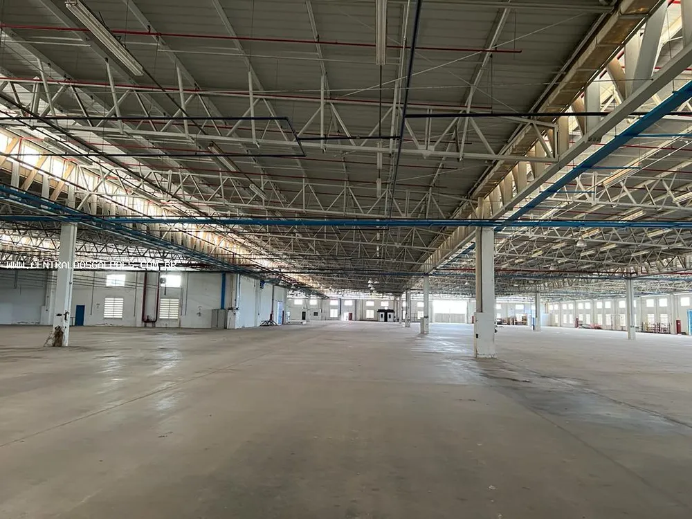Depósito-Galpão, 2000 m² - Foto 3