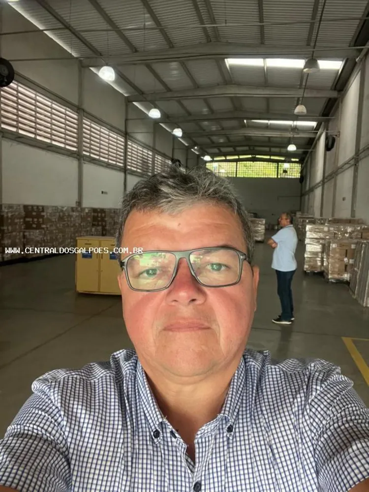 Depósito-Galpão, 800 m² - Foto 5