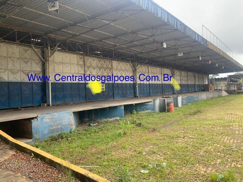 Depósito-Galpão, 1500 m² - Foto 2