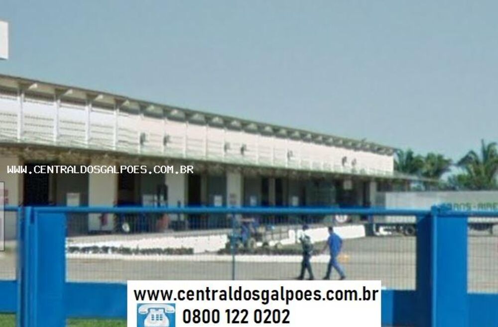 Depósito-Galpão, 1000 m² - Foto 1