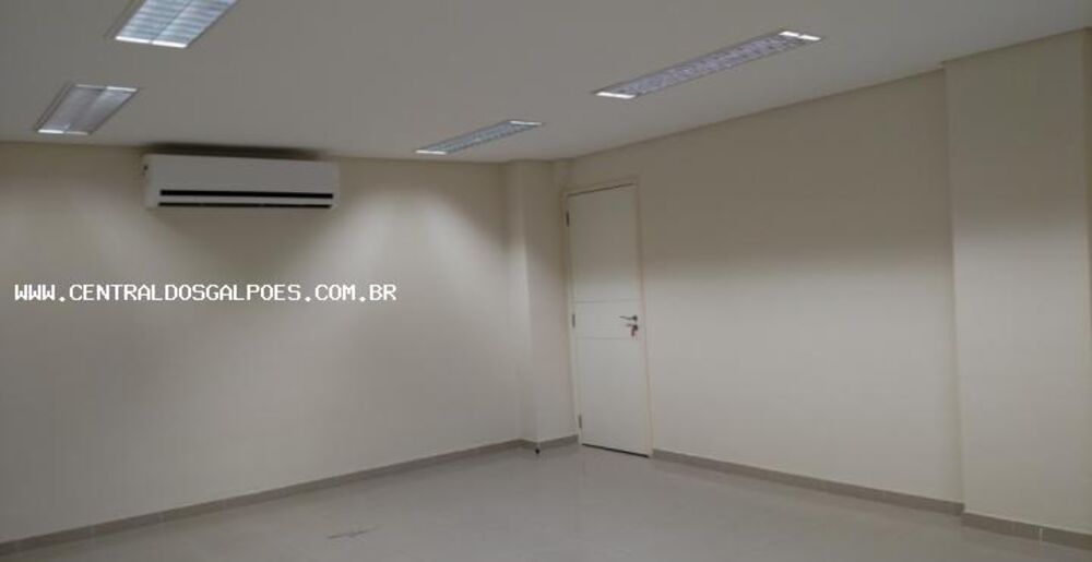 Depósito-Galpão, 2000 m² - Foto 2