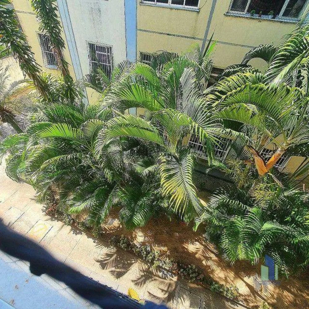 Apartamento, 2 quartos, 55 m² - Foto 4