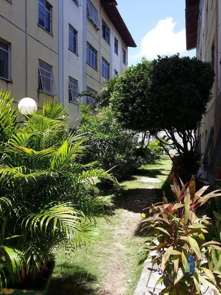 Apartamento, 2 quartos, 55 m² - Foto 3