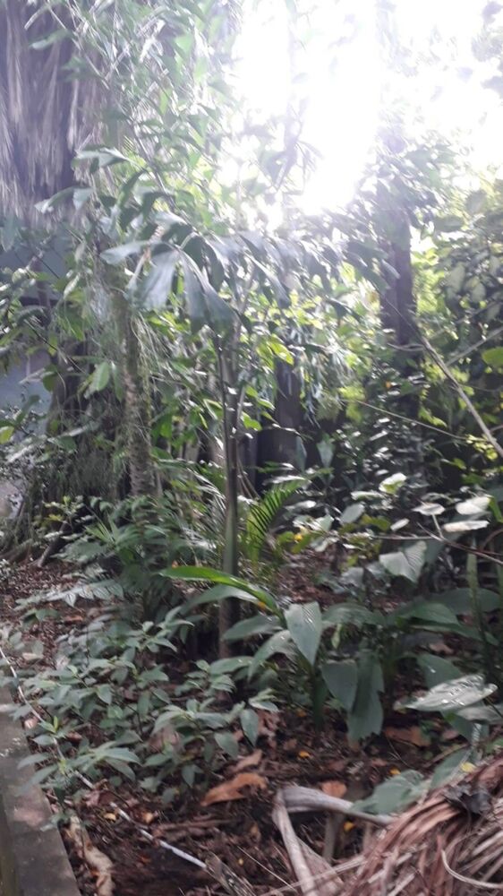 Terreno à venda - Foto 9