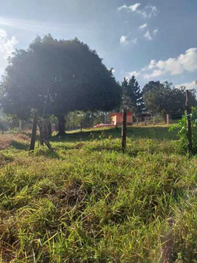 Terreno, 969 m² - Foto 6