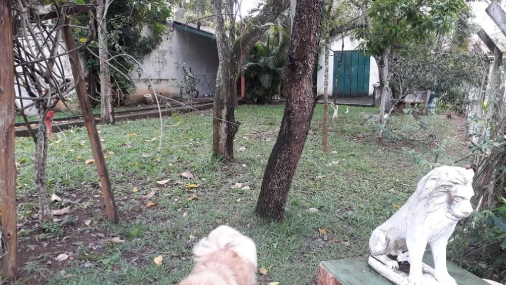 Chácara, 6 quartos, 2000 m² - Foto 8