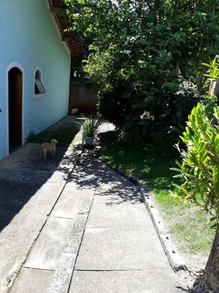Chácara, 2 quartos, 1000 m² - Foto 3