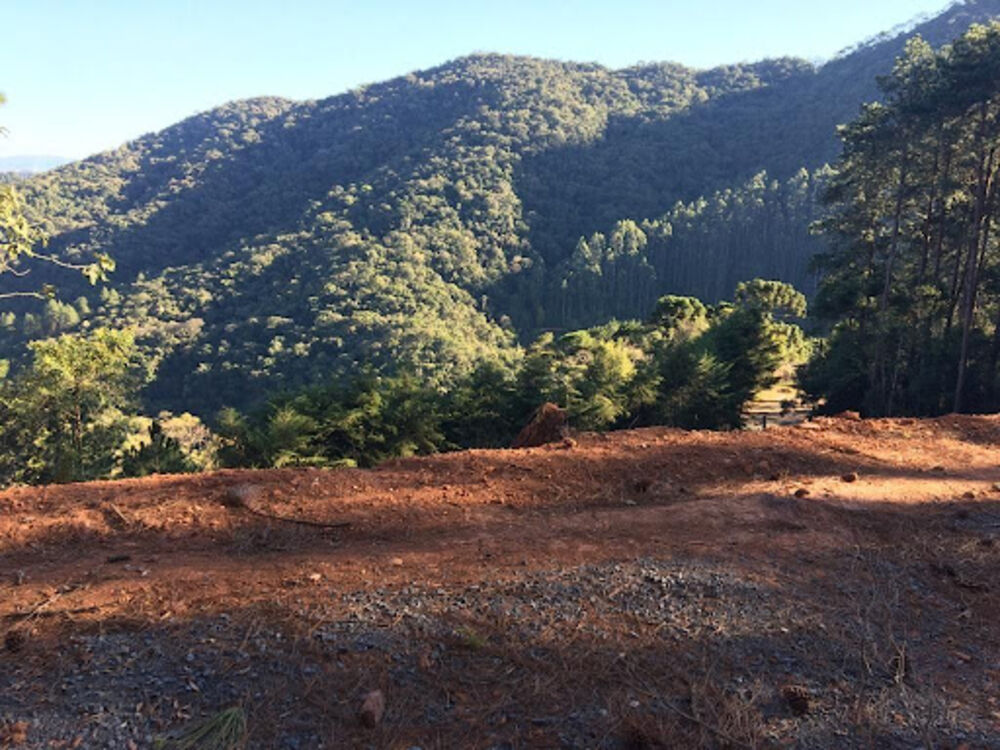 Terreno, 1767 m² - Foto 5