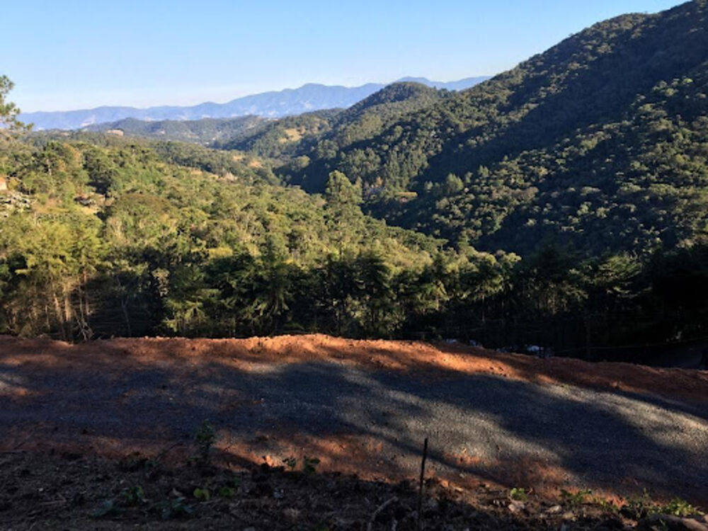 Terreno, 1767 m² - Foto 6