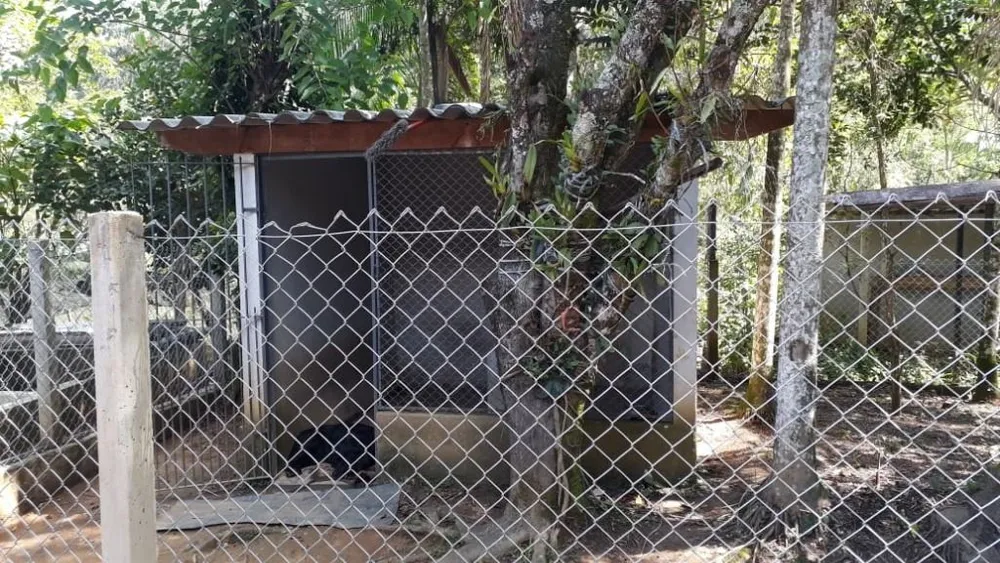 Chácara, 3 quartos, 2 hectares - Foto 3