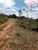 Terreno, 10000 m² - Foto 4