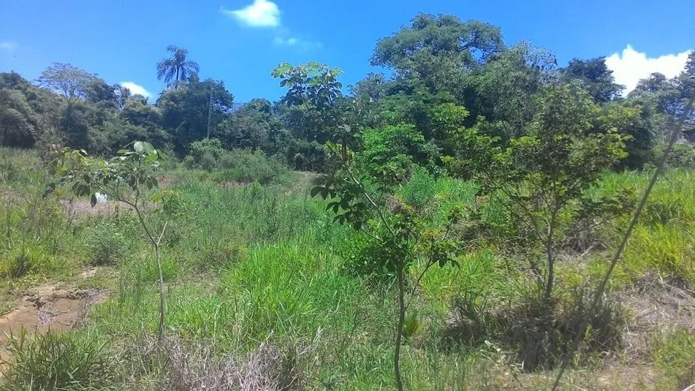 Terreno, 970 m² - Foto 2