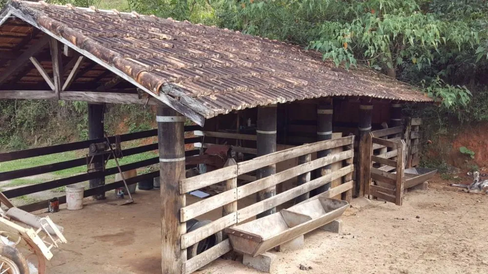 Sítio, 3 quartos, 68 hectares - Foto 2