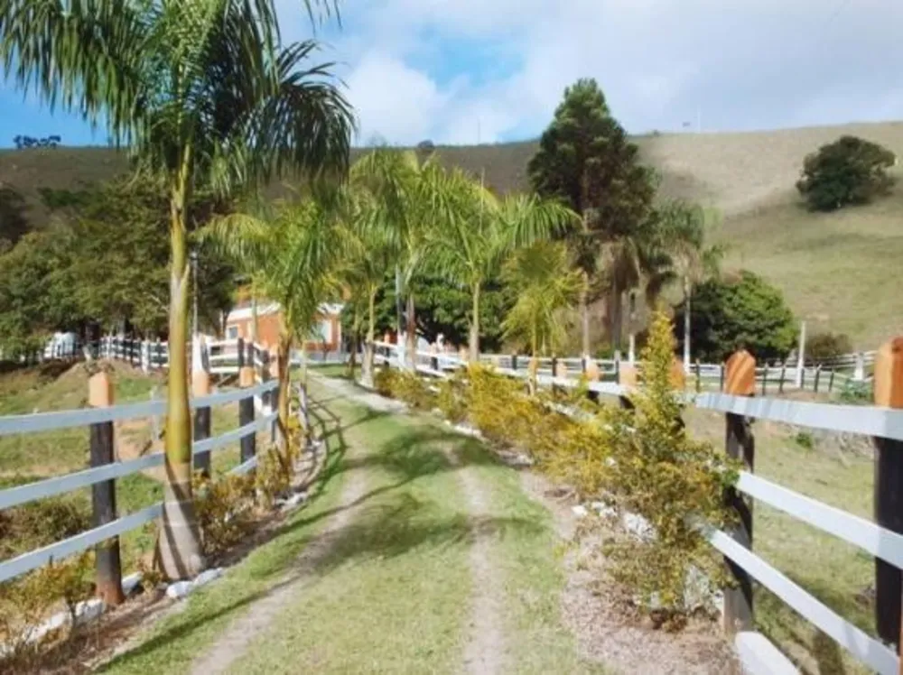 Sítio, 3 quartos, 68 hectares - Foto 3