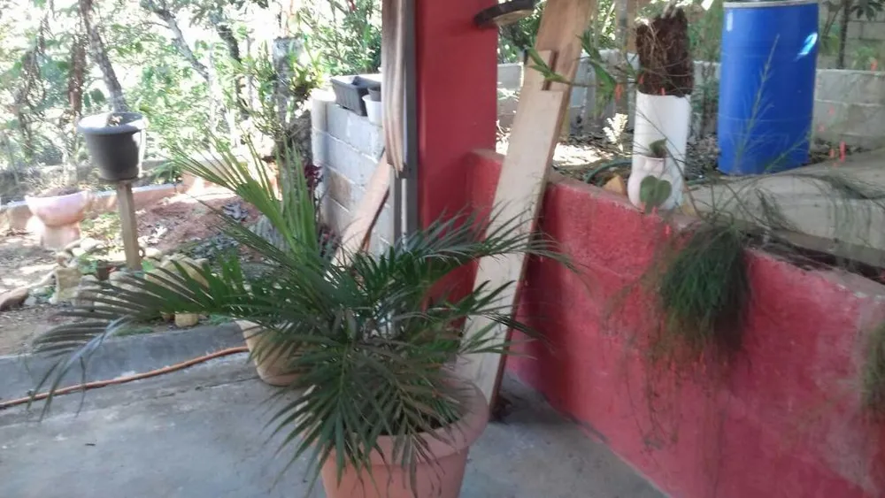 Casa, 2 quartos, 500 m² - Foto 2