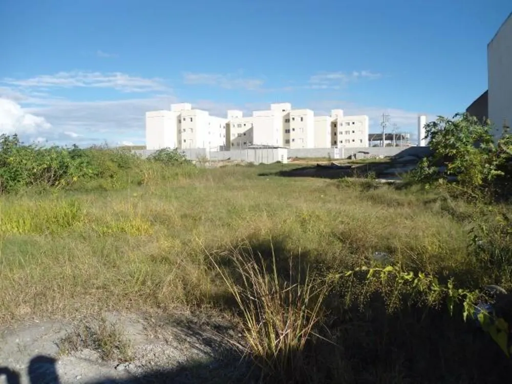 Terreno, 8400 m² - Foto 3