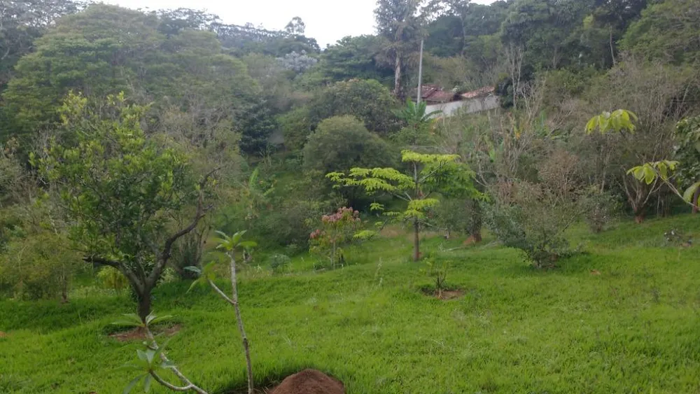 Chácara, 4 quartos, 5500 m² - Foto 4