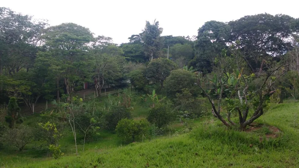 Chácara, 4 quartos, 5500 m² - Foto 6