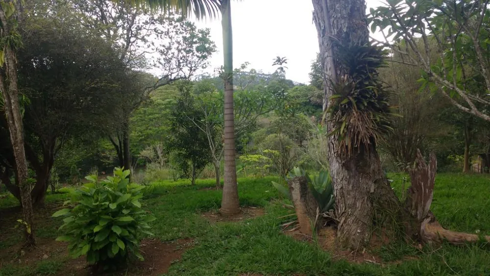 Chácara, 4 quartos, 5500 m² - Foto 2