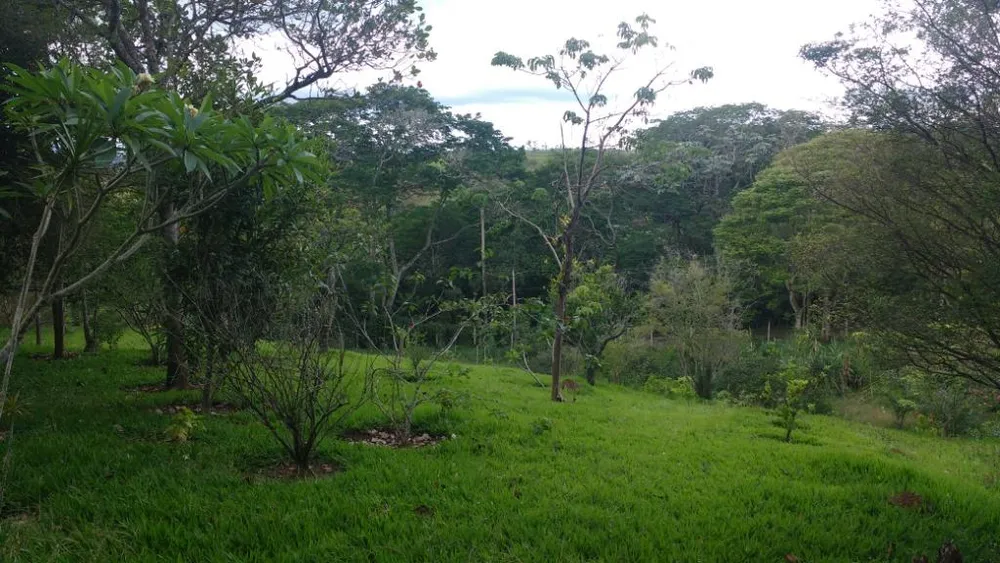 Chácara, 4 quartos, 5500 m² - Foto 3