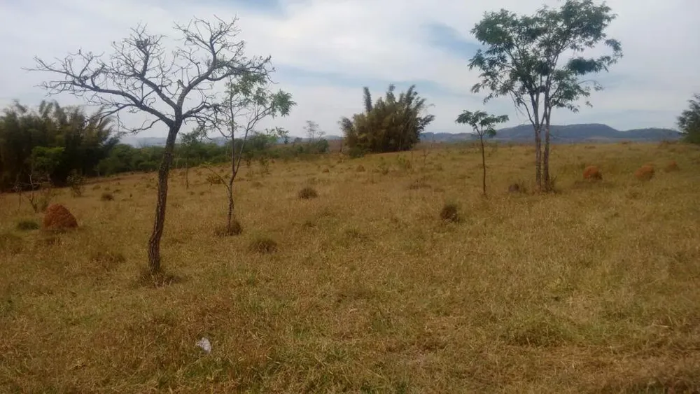 Terreno, 2 hectares - Foto 3