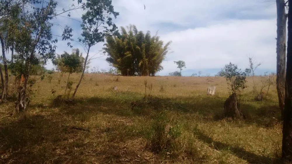 Terreno, 2 hectares - Foto 4