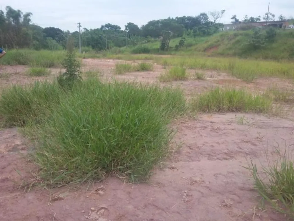 Terreno, 1 hectares - Foto 4
