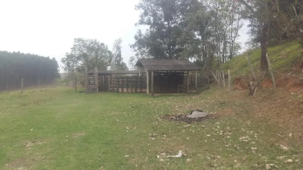 Terreno, 46 hectares - Foto 5