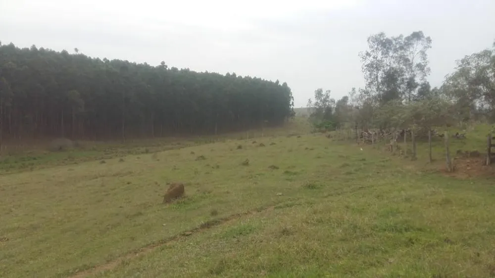 Terreno, 46 hectares - Foto 7