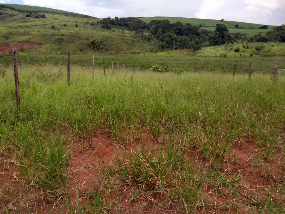 Terreno, 1000 m² - Foto 3