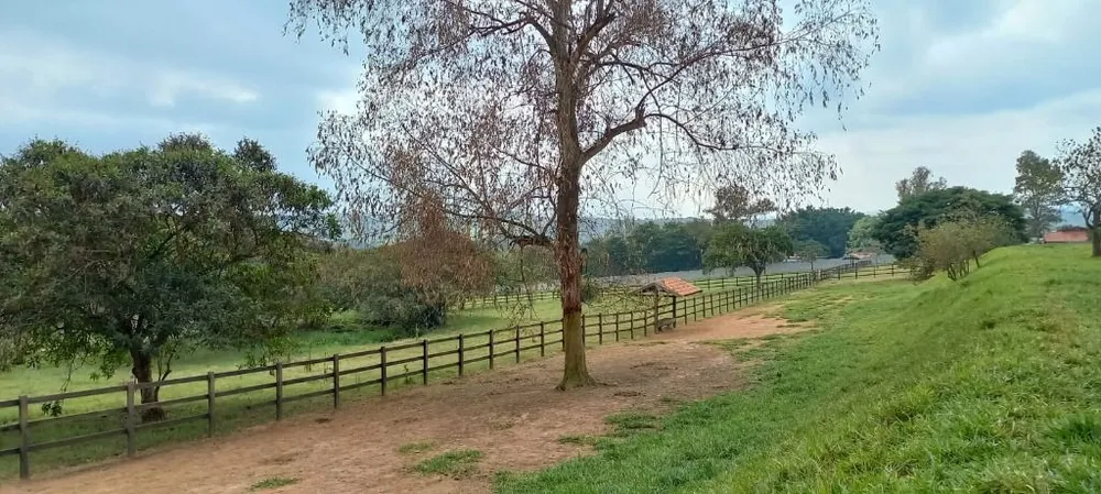 Terreno, 5 hectares - Foto 7