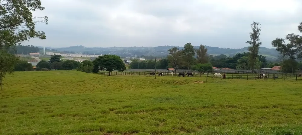 Terreno, 5 hectares - Foto 8