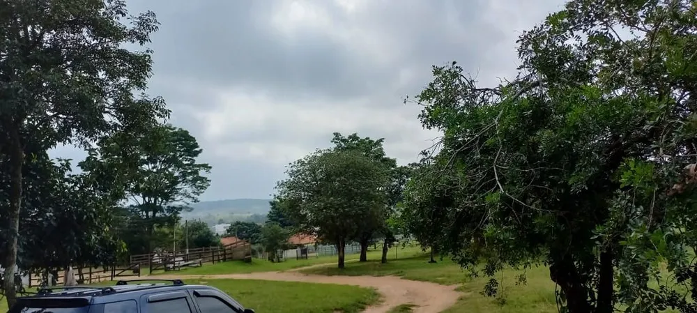 Terreno, 5 hectares - Foto 6