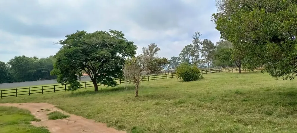Terreno, 5 hectares - Foto 3
