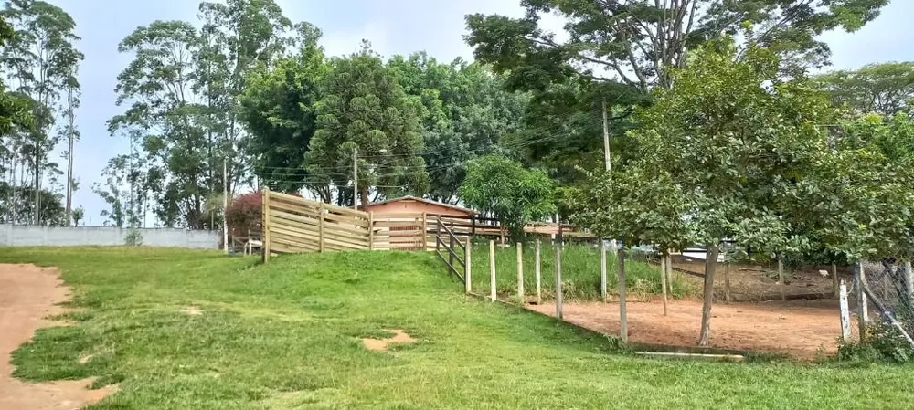Terreno, 5 hectares - Foto 4