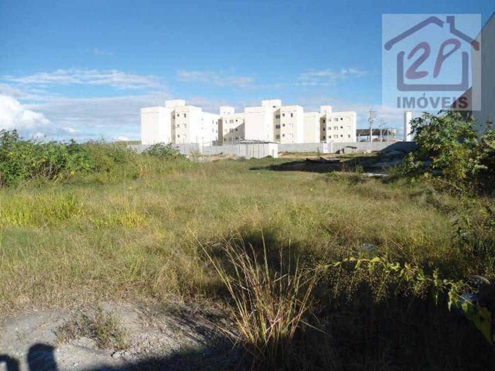 Terreno, 8400 m² - Foto 3