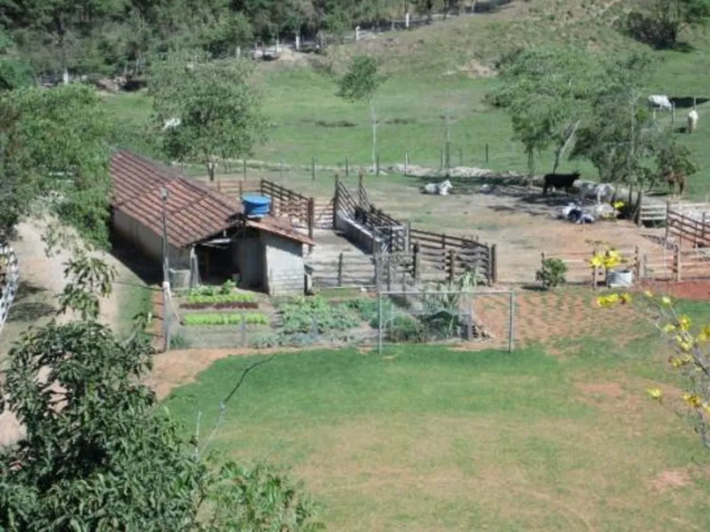 Chácara, 3 quartos, 25 hectares - Foto 6