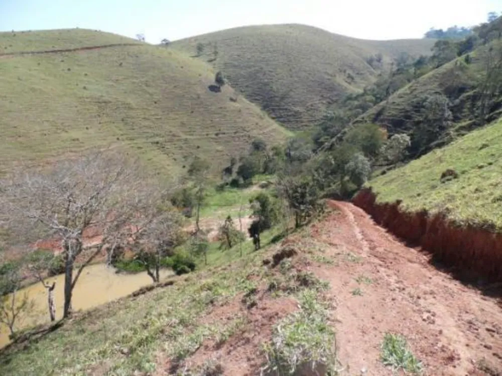 Chácara, 3 quartos, 25 hectares - Foto 7