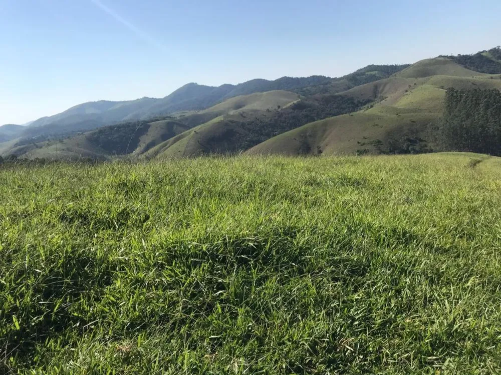 Chácara, 3 quartos, 25 hectares - Foto 8