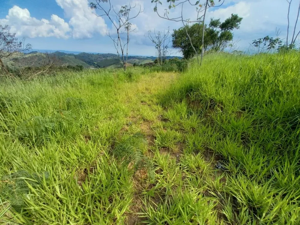 Terreno, 10000 m² - Foto 5