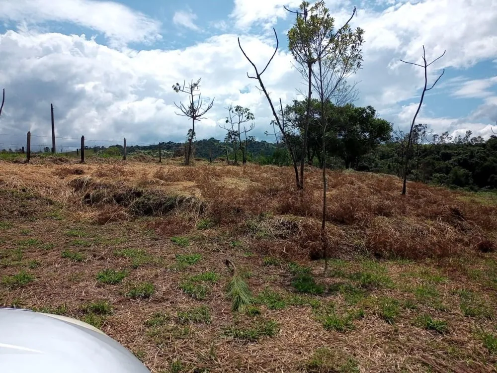 Terreno, 10000 m² - Foto 2